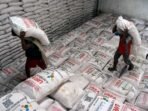 antarafoto distribusi pupuk subsidi bagi petani 1731499988