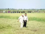 pangan-petani