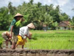 BURUH-TANI-01-09-810x540-1