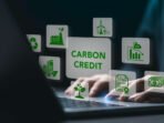 carboncredit1