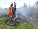 IMG_20240915_230257_829