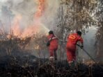 kebakran-hutan-AFP